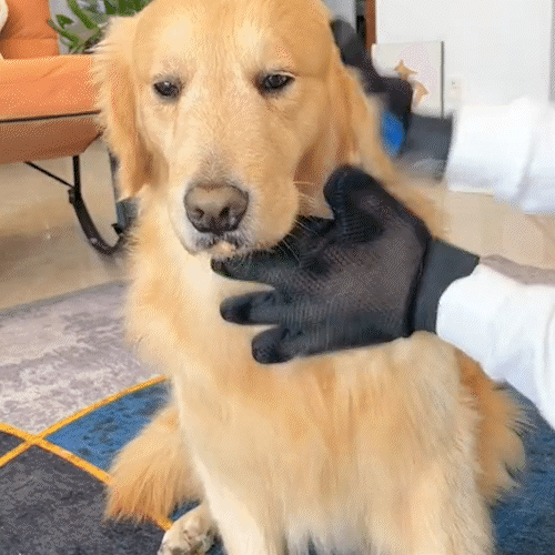 Guante de Grooming para Mascotas