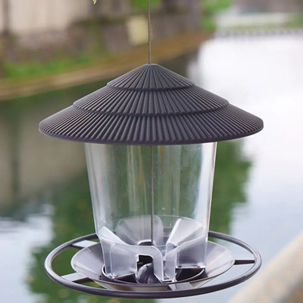 S6291dd6e937a4b98b5ccbe46c9a2e5a9f